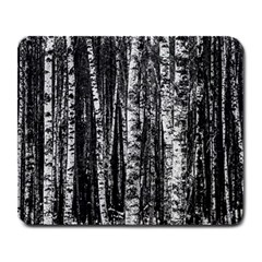 Birch Forest Trees Wood Natural Large Mousepads by BangZart