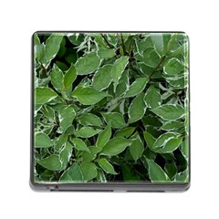 Texture Leaves Light Sun Green Memory Card Reader (square) by BangZart