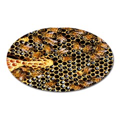 Queen Cup Honeycomb Honey Bee Oval Magnet by BangZart