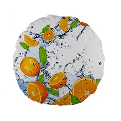 Fruits Water Vegetables Food Standard 15  Premium Flano Round Cushions by BangZart