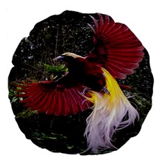 Cendrawasih Beautiful Bird Of Paradise Large 18  Premium Round Cushions by BangZart
