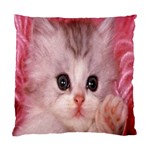 Cat  Animal  Kitten  Pet Standard Cushion Case (One Side) Front