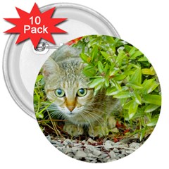 Hidden Domestic Cat With Alert Expression 3  Buttons (10 Pack)  by dflcprints