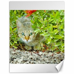 Hidden Domestic Cat With Alert Expression Canvas 12  X 16   by dflcprints