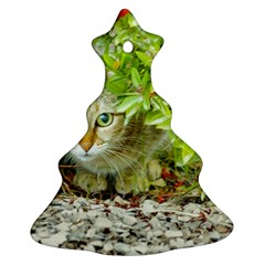 Hidden Domestic Cat With Alert Expression Ornament (christmas Tree)  by dflcprints