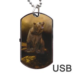 Roaring Grizzly Bear Dog Tag Usb Flash (one Side) by gatterwe