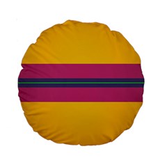 Layer Retro Colorful Transition Pack Alpha Channel Motion Line Standard 15  Premium Round Cushions