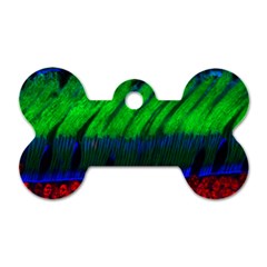 Cells Rainbow Dog Tag Bone (one Side)