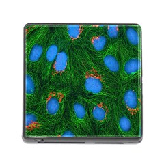 Fluorescence Microscopy Green Blue Memory Card Reader (square)
