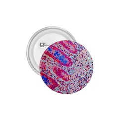Histology Inc Histo Logistics Incorporated Alcian Blue 1 75  Buttons