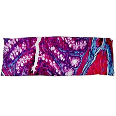 Histology Inc Histo Logistics Incorporated Masson s Trichrome Three Colour Staining Body Pillow Case (dakimakura) by Mariart