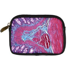 Natural Stone Red Blue Space Explore Medical Illustration Alternative Digital Camera Cases by Mariart