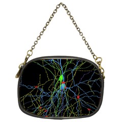 Synaptic Connections Between Pyramida Neurons And Gabaergic Interneurons Were Labeled Biotin During Chain Purses (two Sides) 