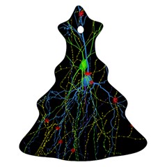 Synaptic Connections Between Pyramida Neurons And Gabaergic Interneurons Were Labeled Biotin During Ornament (christmas Tree)  by Mariart