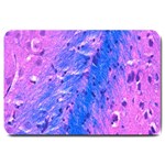 The Luxol Fast Blue Myelin Stain Large Doormat 