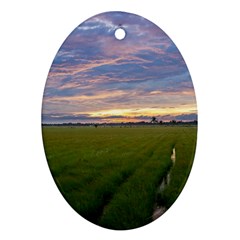 Landscape Sunset Sky Sun Alpha Ornament (oval) by Nexatart