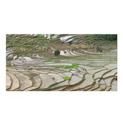 Rice Fields Terraced Terrace Satin Shawl by Nexatart
