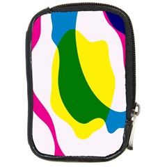 Anatomicalrainbow Wave Chevron Pink Blue Yellow Green Compact Camera Cases