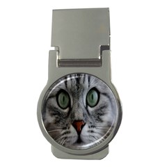 Cat Face Eyes Gray Fluffy Cute Animals Money Clips (round)  by Mariart