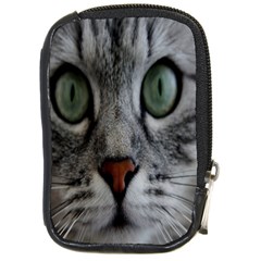 Cat Face Eyes Gray Fluffy Cute Animals Compact Camera Cases