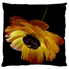 Ranunculus Yellow Orange Blossom Standard Flano Cushion Case (two Sides) by Nexatart