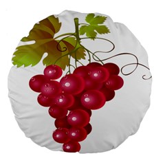 Red Fruit Grape Large 18  Premium Flano Round Cushions by Mariart
