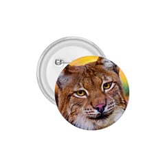 Tiger Beetle Lion Tiger Animals 1 75  Buttons