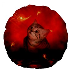Cute Little Kitten, Red Background Large 18  Premium Round Cushions by FantasyWorld7