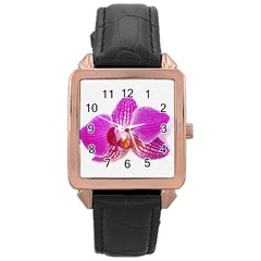 Lilac Phalaenopsis Flower, Floral Oil Painting Art Rose Gold Leather Watch  by picsaspassion