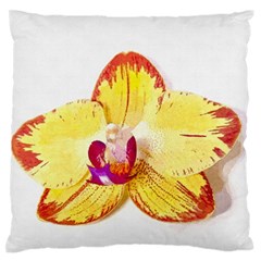 Phalaenopsis Yellow Flower, Floral Oil Painting Art Standard Flano Cushion Case (one Side) by picsaspassion