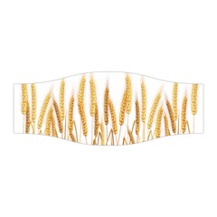 Wheat Plants Stretchable Headband