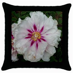 Floral Soft Pink Flower Photography Peony Rose Throw Pillow Case (black)