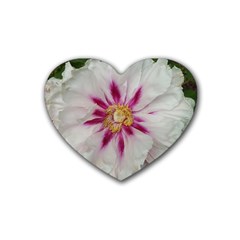 Floral Soft Pink Flower Photography Peony Rose Rubber Coaster (heart) 
