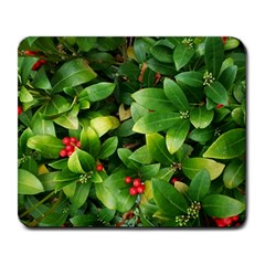 Christmas Season Floral Green Red Skimmia Flower Large Mousepads by yoursparklingshop
