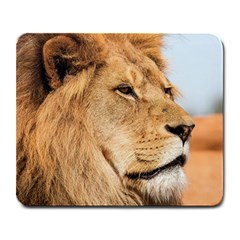 Big Male Lion Looking Right Large Mousepads by Ucco
