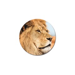 Big Male Lion Looking Right Golf Ball Marker (4 Pack) by Ucco