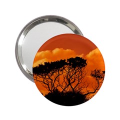 Trees Branches Sunset Sky Clouds 2 25  Handbag Mirrors by Celenk