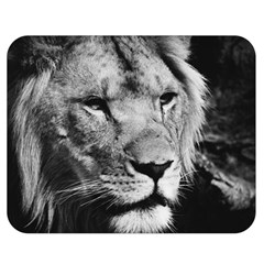 Africa Lion Male Closeup Macro Double Sided Flano Blanket (medium)  by BangZart