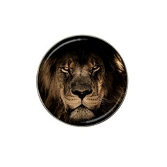 African Lion Mane Close Eyes Hat Clip Ball Marker by BangZart