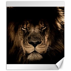 African Lion Mane Close Eyes Canvas 20  X 24   by BangZart