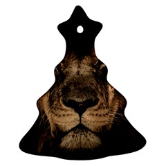 African Lion Mane Close Eyes Christmas Tree Ornament (two Sides) by BangZart
