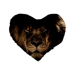 African Lion Mane Close Eyes Standard 16  Premium Flano Heart Shape Cushions by BangZart
