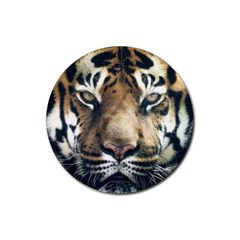 Tiger Bengal Stripes Eyes Close Rubber Coaster (round)  by BangZart