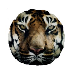 Tiger Bengal Stripes Eyes Close Standard 15  Premium Round Cushions by BangZart