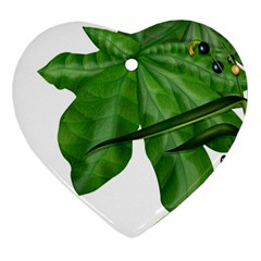 Plant Berry Leaves Green Flower Heart Ornament (two Sides) by BangZart