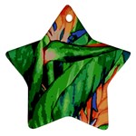 Flowers Art Beautiful Star Ornament (Two Sides)
