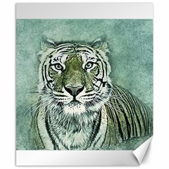 Tiger Cat Art Abstract Vintage Canvas 8  X 10  by Celenk