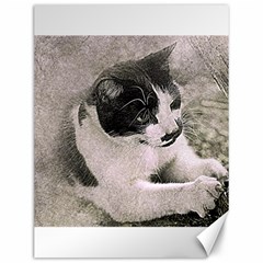 Cat Pet Art Abstract Vintage Canvas 12  X 16   by Celenk