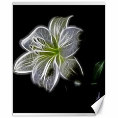 White Lily Flower Nature Beauty Canvas 11  X 14   by Celenk