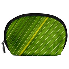 Leaf Plant Nature Pattern Accessory Pouches (large)  by Nexatart